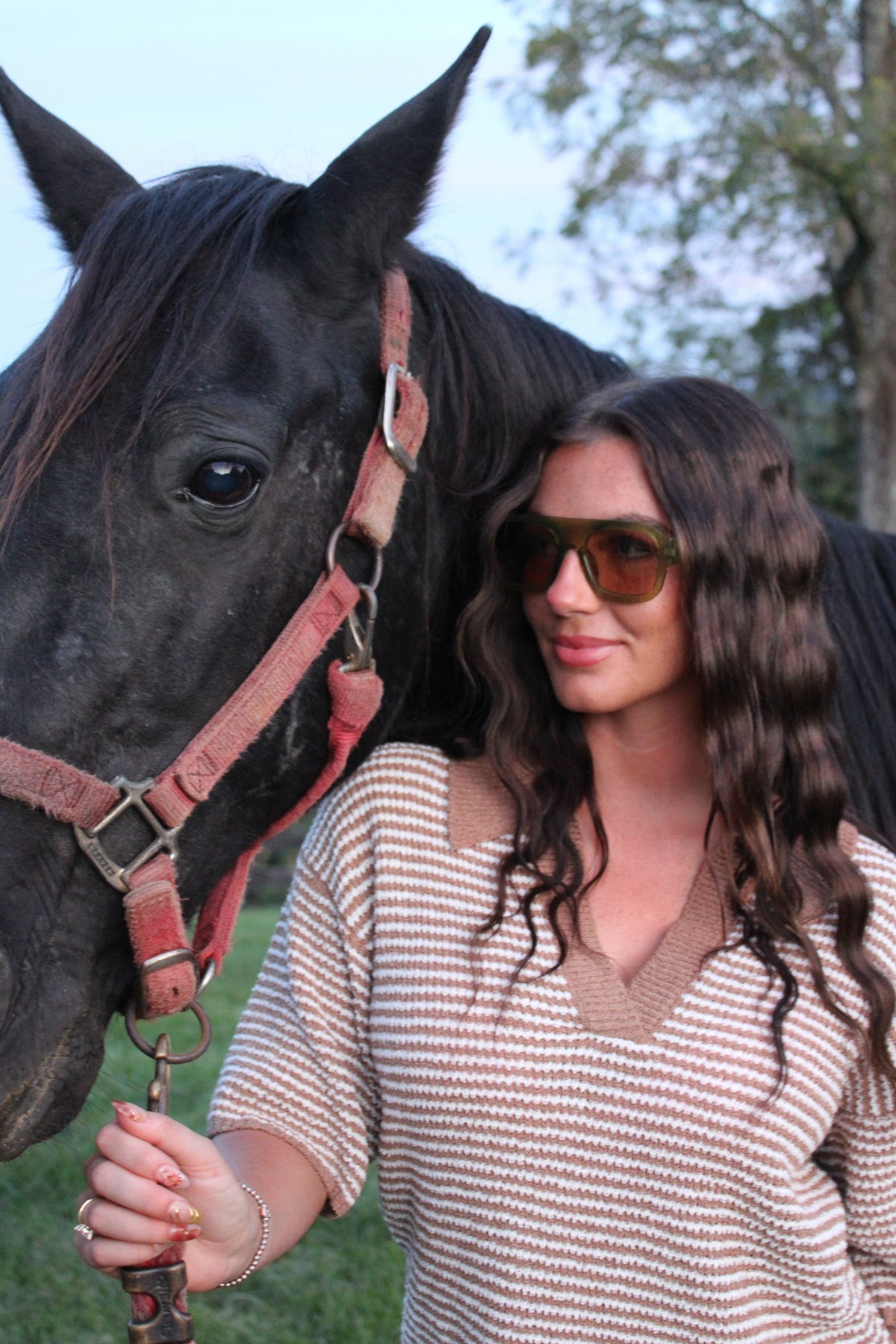 The Olive Sunnies