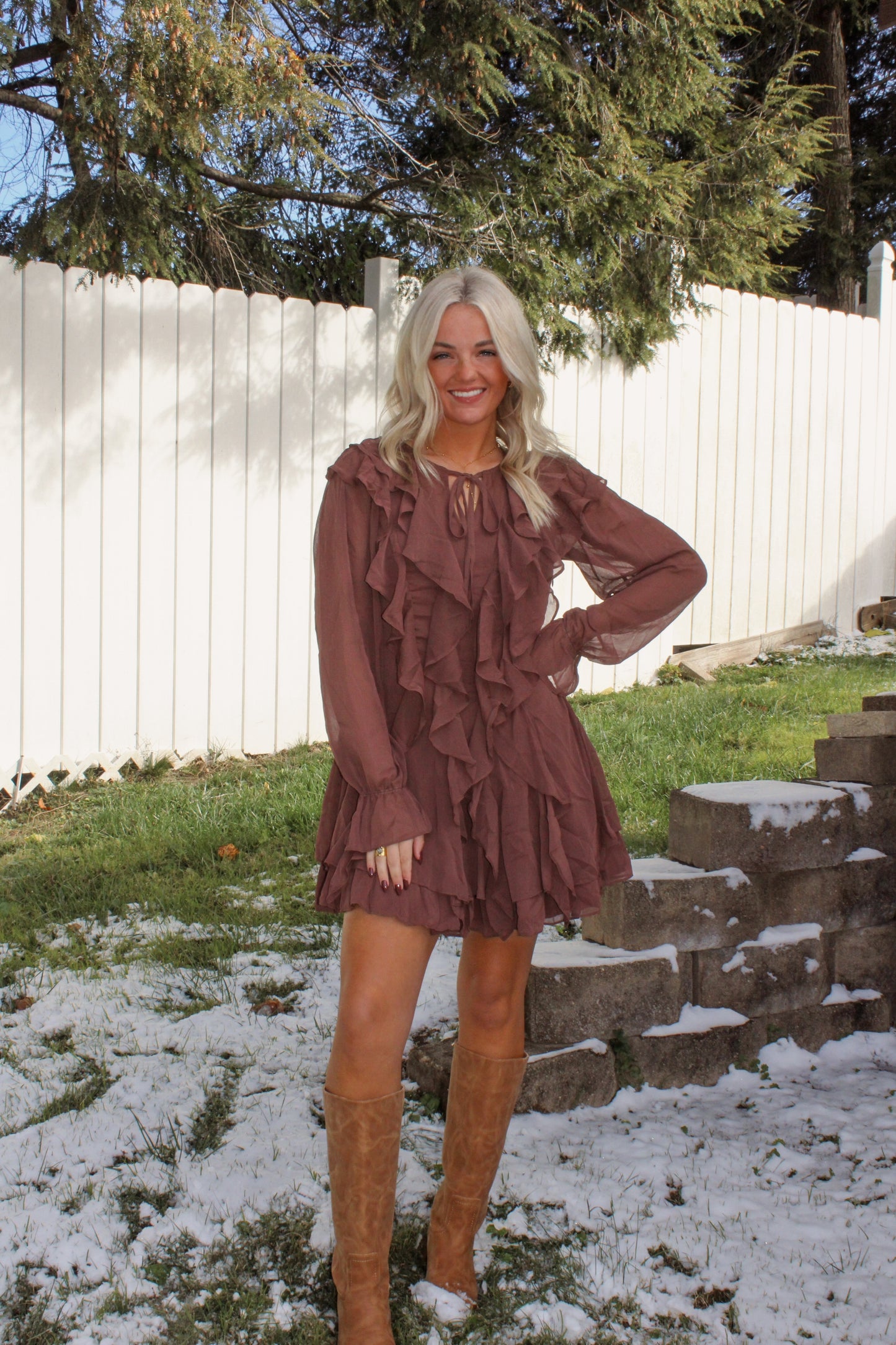 Chestnut Charm Dress